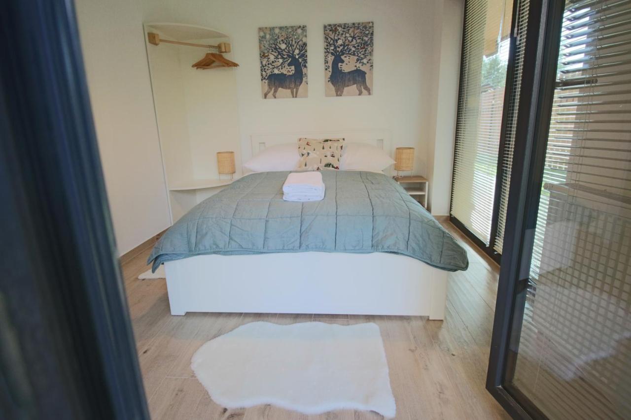 זקופאנה Apartment Bazatatry Kozica מראה חיצוני תמונה