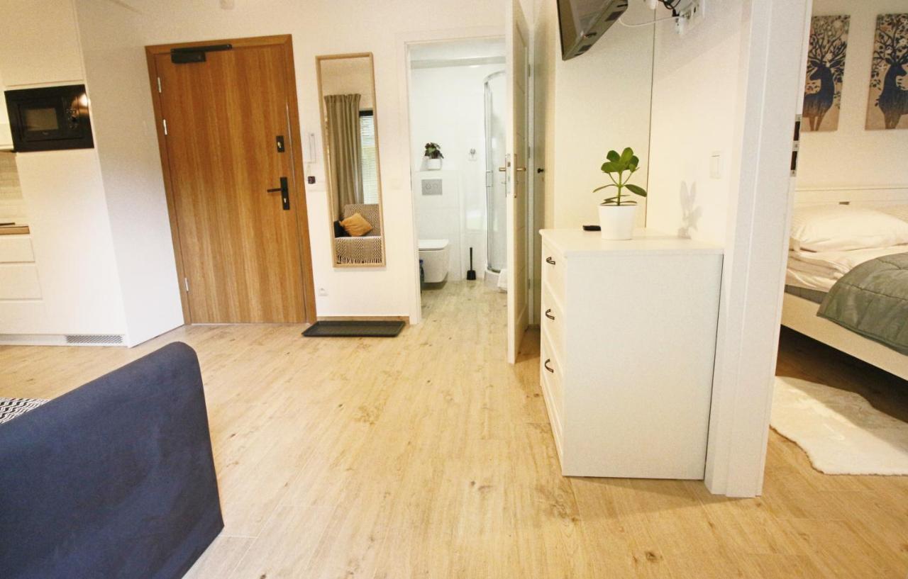 זקופאנה Apartment Bazatatry Kozica מראה חיצוני תמונה